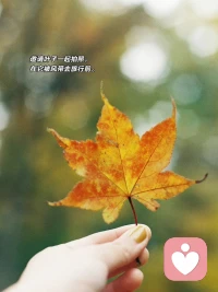 希望你快樂，無論和誰，無論在哪配圖