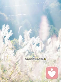 每個人都要學會先過好自己單獨的人生
然后在不急，不忙，不亂中
遇到一個美好的結(jié)果
無人照料的小花
也在獨自盛開
愿你像花，盡情開放，可以不為任何人配圖