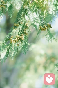 生活点点滴滴，快乐漫无边际，生活普普通通，日子乐在其中，在自己的节奏里，安静和热闹我都喜欢!配图