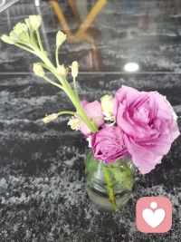 成長的標準就是：拒絕別人以后沒有任何的愧疚感。配圖