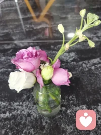 别想太多，好好生活，
也许日子过着过着就会有答案，
努力走着走着就会有温柔的着落。配图