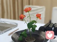 人生的幸与不幸，自有因果，
而我们自己，才是自己命运的摆渡人。配图