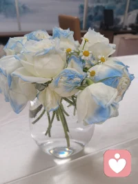 不要為明天憂慮，因為明天自有明天的憂慮，一天的難處一天當就夠了。把你的今天過好，不必操心未來的風雨。配圖