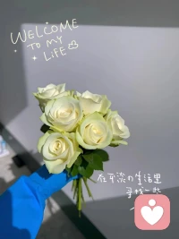 努力的人总是超越梦想正能量的人总是自带光芒与其羡慕别人,不如成为那个人自己发光、美丽、提升，才是正事。配图