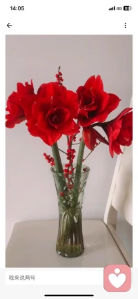 你相信什么，
什么就会在你身上发生。
所有的幸运，其实是相信的力量。

​配图