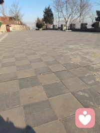 不要对别人抱有过高的期待，因为真正一直在路上的，只有我们自己。配图