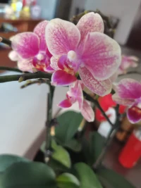 不必活在別人的期待中，表揚和批評是對人最大的控制。如果你會因為別人的表揚而高興，必然也會因為別人的指責而傷心。配圖