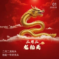 二月二，龍抬頭，抬起一年好兆頭。愿新的一年，煩惱隨風去，好運伴春來，生活如春日般溫暖明媚~
?配圖