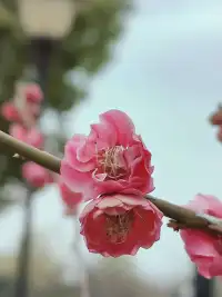 你的笑容和善良，能够照亮他人的世界，也温暖自己的心房。配图
