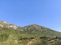 ❥早安晨语

如果你专注于结果
你就永远不会改变
如果你专注于改变
你就会得到结果配图