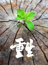 你自己才是自己的演员
你自己才是自己的评委
你自己才是自己的导演
你自己才是自己的观众

每个人都是自己的第一名
不对比，做自己
永超越，创神奇????????????
​
​配图