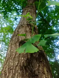 ?早安晨語

真正給你撐腰的是銀行的存款
知識的儲備和做事的果斷
是心中那個打不敗的自己配圖
