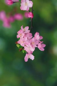 ❥早安晨语

善于向他人寻求帮助
不是弱点
而是一项能力