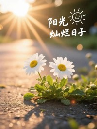生活最好的状态是： 
人静、物简、心安。 
幸福秘诀是“无”： 
无忧、无虑、无病、无灾。 
