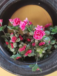 ❥早安晨语

没有运气
只有你坚持的勇气
没有奇迹
只有努力得轨迹