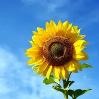 你現在的樣子 
取決于你過去的樣子
你未來的樣子
取決于你現在所做的事配圖