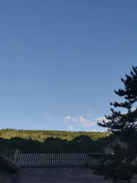 ?早安晨語

生活看起來
能把人壓得喘不過氣
試著把注意力集中在小事上
不要放棄前進配圖