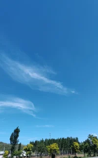?早安晨語

時間以同樣的方式
流經每個人
而每個人卻以不同的方式
度過時間配圖