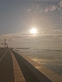 無法掌控的事情太多了，盡力就好。

一輩子就活一次，可有、可無、可去、可留。配圖