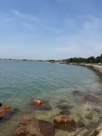 ?早安晨語(yǔ)

花不會(huì)一直開(kāi)
但一直會(huì)有花開(kāi)
好的心態(tài)是治愈一切的良藥
四季雖慢慢，慢慢亦燦燦配圖