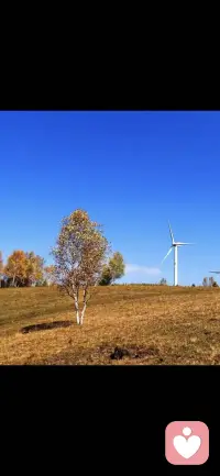 如果靠吼可以搞定一切，那么驢將統(tǒng)治世界。
遇到事情，只有先穩(wěn)定住情緒，腦子才有用武之地??配圖