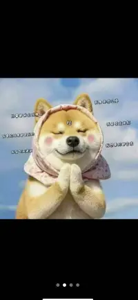 【疗愈不开心】                                                                  想不通的时候，就来听听这句话，我们来到世界只有一次，百年之后没有你也没有我，所以我们拼搏一生带不走一砖一瓦，我们执着一生也带不走一丝的爱恨情仇，所以吃你想的饭，看你喜欢的风景，听你想听的声音，做你喜欢的事儿吧，生活本身就是做减法，来日并不方长，我们终将释怀，所以要健康的活，平静的过，开心的笑，适当的忙，这已经很好了❤️