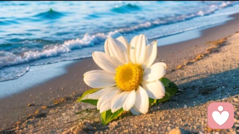 缘起缘尽：婚恋关系中的流动与成长