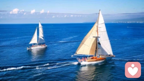 豁达：降低情绪内耗，激活心理能量