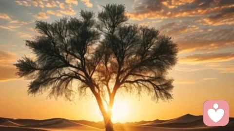 放下失去的叹息，拾起面对的勇气