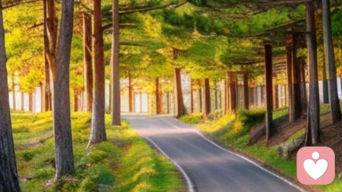 离别无需圆满，接受即是答案