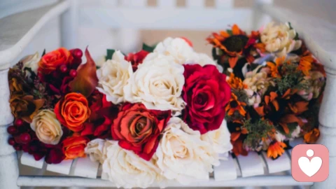 真正的感恩，是自然举动：是主动分担，是悄悄记挂