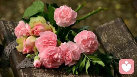 关系里的及时止损：别为不考虑你的人，耗光自己的善意