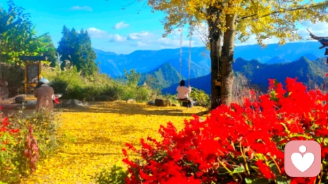 从“无效寒暄”到“深度联结”：优质社交的核心是“主动筛选”而非“被动迎合”