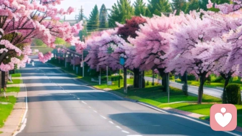 善良不是软肋：别让无底线的好，养出得寸进尺的人