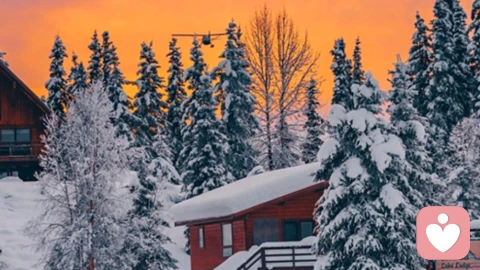 别炫耀你的拥有,去炫耀你的涵养:见过世面的包容,才是顶级光芒