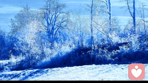 我们为何总在“假装努力”？心理学视角下的“自我欺骗”困局