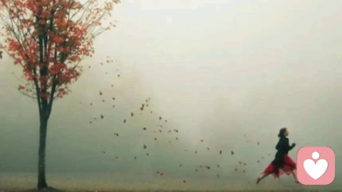 固定强化：给行为一个明确的“终点”