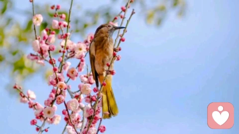 别再靠“意志力硬扛”：3个心理学真相，帮你轻松提升自控力