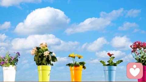 为什么一群人干活，反而不如一个人高效？——揭开“社会懈怠”的心理学真相