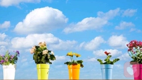 为什么一群人干活，反而不如一个人高效？——揭开“社会懈怠”的心理学真相