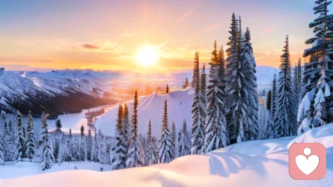 社会交换理论的核心逻辑：从“资源偏好”到“理性选择”的人性推演