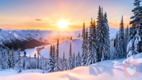 社会交换理论的核心逻辑：从“资源偏好”到“理性选择”的人性推演