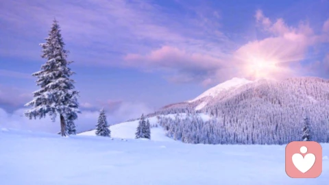 相爱相杀：焦虑型与回避型伴侣的“追逃困局”