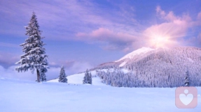 相爱相杀：焦虑型与回避型伴侣的“追逃困局”