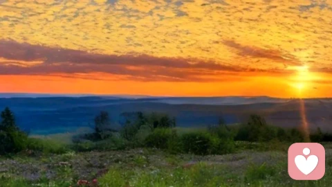 于世俗褶皱里,打捞一份纯粹的真情流露