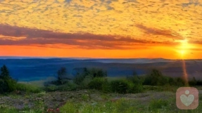 于世俗褶皱里，打捞一份纯粹的真情流露