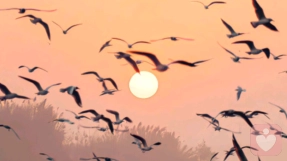 那些伤害你的人，从来都不是“不小心”