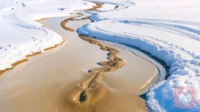 “螃蟹效应”：那些见不得你好的人，都在悄悄扯你的后腿