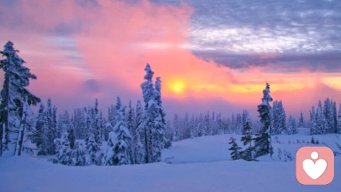 别让“投射”成为逃避的借口：我们如何把内心的阴影丢给了别人