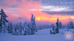 别让“投射”成为逃避的借口：我们如何把内心的阴影丢给了别人